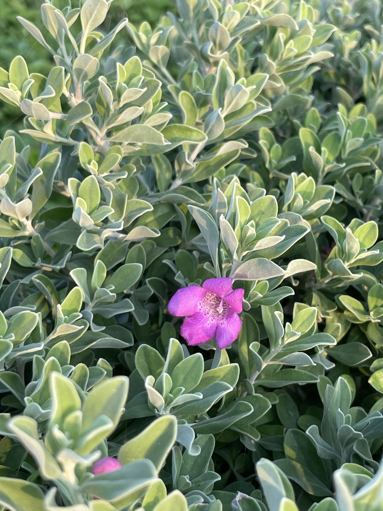 If your heart feels restless, check your connection with Fajr before blaming life.